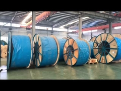 สายควบคุม