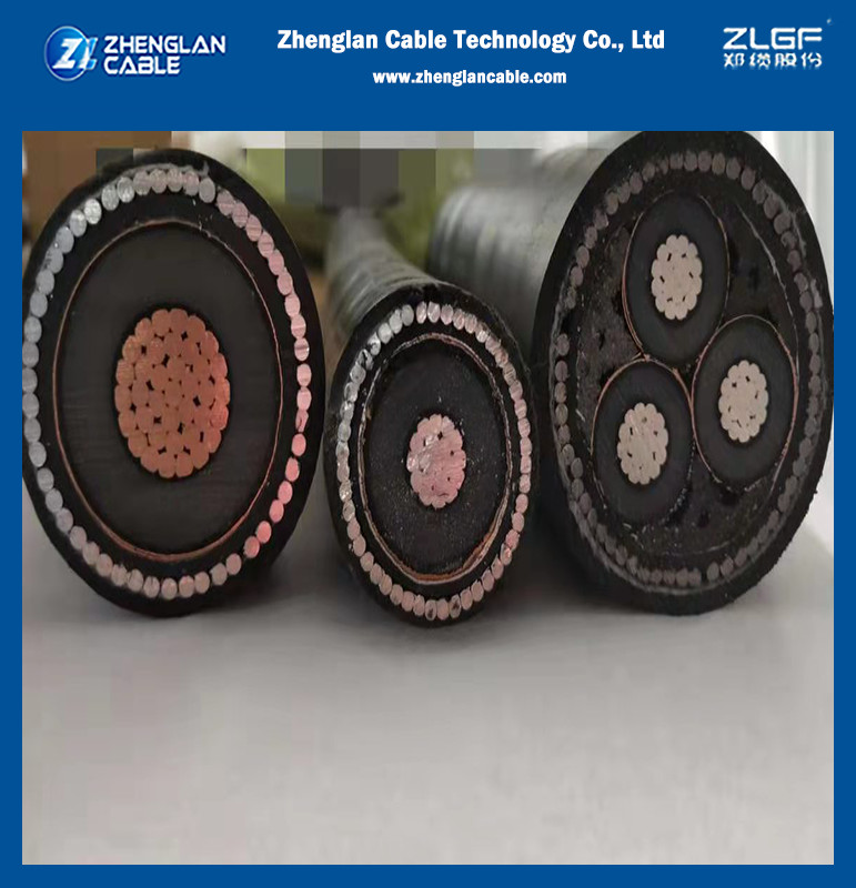 30 สายเคเบิล ปัญหาทั่วไป การกระจายความรู้ ((1)