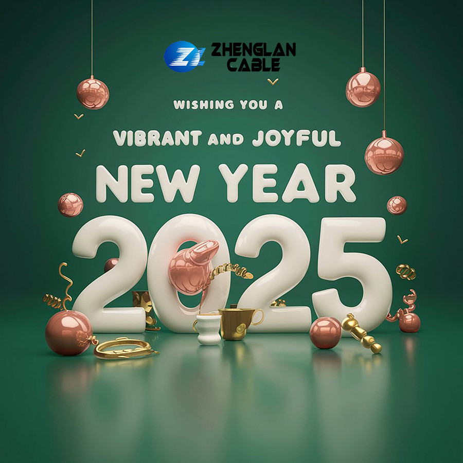 หวัดดีปีใหม่ 2025