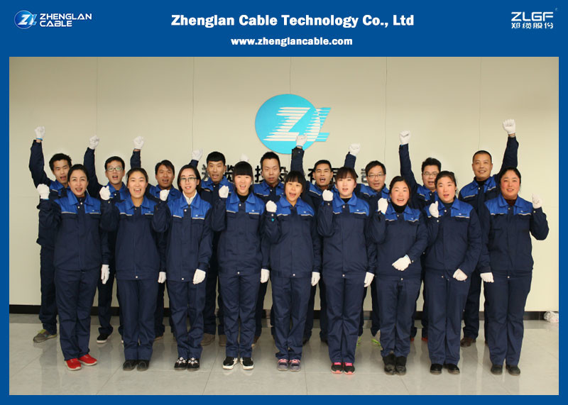 คุณรู้ไหมว่ามี 17 ประเภทการรับรอง สําหรับการส่งออกสายและสายเคเบิล