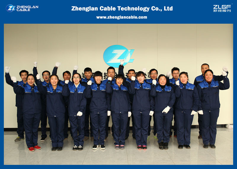 ประสิทธิภาพทางเทคนิคหลักของสายไฟฟ้าเหนือศีรษะคืออะไร?