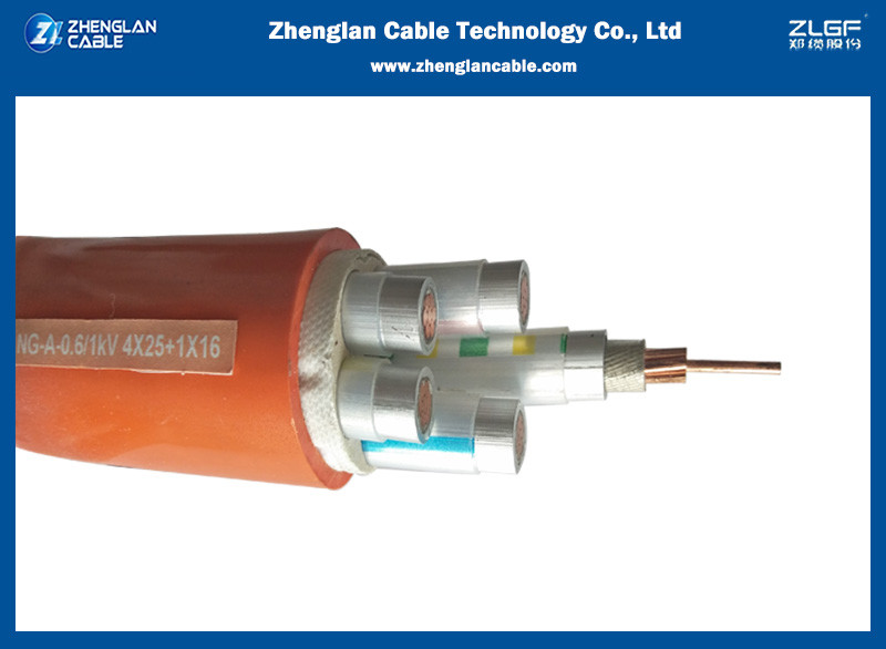 ข้อมูลบางส่วนเกี่ยวกับเคเบิลกันไฟประปาแร่ NG-A และเคเบิล BTLY